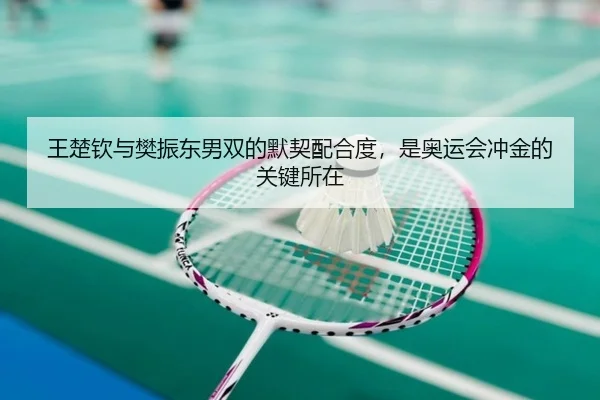 王楚钦与樊振东男双的默契配合度，是奥运会冲金的关键所在